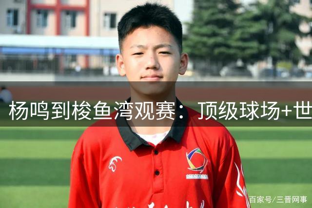 杨鸣到梭鱼湾观赛：顶级球场+世界级球迷文化=大连足球城底蕴